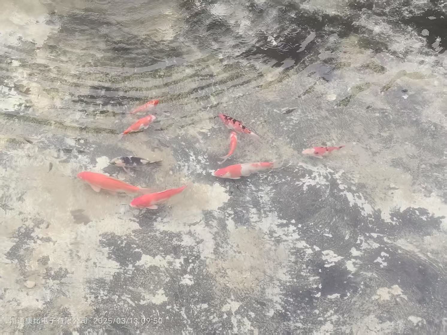 ee00d89023d58746cb78070dbfb1c67.jpg ee00d89023d58746cb78070dbfb1c67.jpg