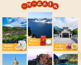 線(xiàn)上平臺(tái)促銷(xiāo) 線(xiàn)下近7000門(mén)店聯(lián)動(dòng) 蘇寧o2o助力首屆 中國(guó)農(nóng)民豐收節(jié)